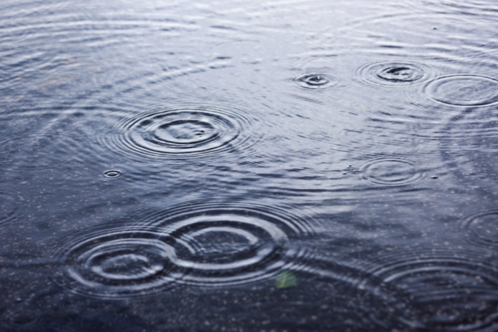 water damage remediation